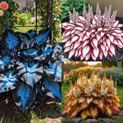 🔥Last day clearance🌌Premium Rare Hosta Seeds - Shade Plant for Garden