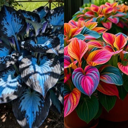 🔥Last day clearance🌌Premium Rare Hosta Seeds - Shade Plant for Garden