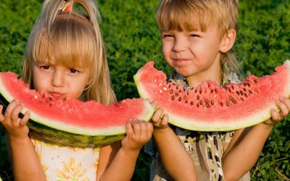 🍉Lazy Man’s Watermelon Seeds – Grow Watermelons the Easy Way!